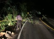Polisi Bersihkan Bambu Jatuh Melintang di Jalinsum Kampung Banjar Masin