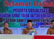 Bupati Sabar AS Optimis Perkebunan Sawit Akan Berkembang, Ratusan Petani Sawit Ikuti Sosialisasi STDB