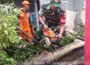 Pohon Timpa Rumah Warga, Babinsa Koramil Pasar Minggu Bantu Evakuasi