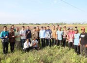 Dukung Swasembada Pangan, Wamendagri Tinjau Dua Titik Irigasi di Lampung