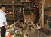 Polres Tanggamus Lakukan Olah TKP Kasus Temuan Mayat Akibat Serangan Gajah Liar di Bandar Negeri Semuong