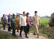 Tinjau Panen Raya di Kabupaten Bangkalan, Wamendagri Bima Arya Optimistis Swasembada Pangan Dapat Terwujud
