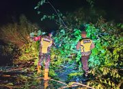 Jalan Penghubung Aceh Timur dengan Gayo Lues Kembali Longsor di Lokop