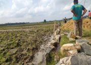 Masyarakat kembali meminta kepada Kejaksaan Negeri  Lampung Selatan untuk memeriksa  kepala Desa Sumber Agung