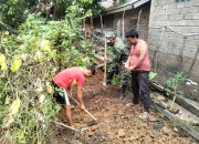 Satgas TMMD Ke-123 Kodim 0416 / Bute, Renovasi Rumah Taklayak Huni