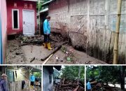 Kepala Desa Tarahan Hairul Tinjau Langsung Lokasi Banjir, enam ekor Hewan Ternak warga ikut terbawa Derasnya air.