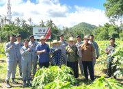 Kepala Bakamla RI Panen Kacang Tanah di Karangasem Bali