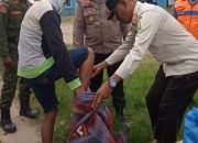 Fenomena Penggunaan Celana Pendek oleh Remaja Dan Ketat Pemerintah Aceh Timur Diminta Tanggapi Serius