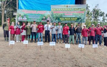 Penanaman Jagung di Desa Pagar Puding Dukung Program Ketahanan Pangan Polri