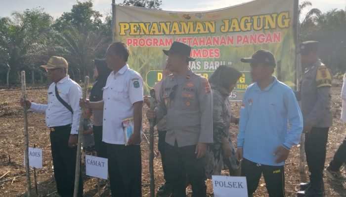 BUMDes Tunas Baru Desa Pagar Puding Lamo Loncing Perdana Penanam Jagung, Dukung Program Ketahanan Pangan Polri