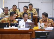 Mendagri Dukung Pendataan PBI JKN dalam Rangka Integrasi DTSEN