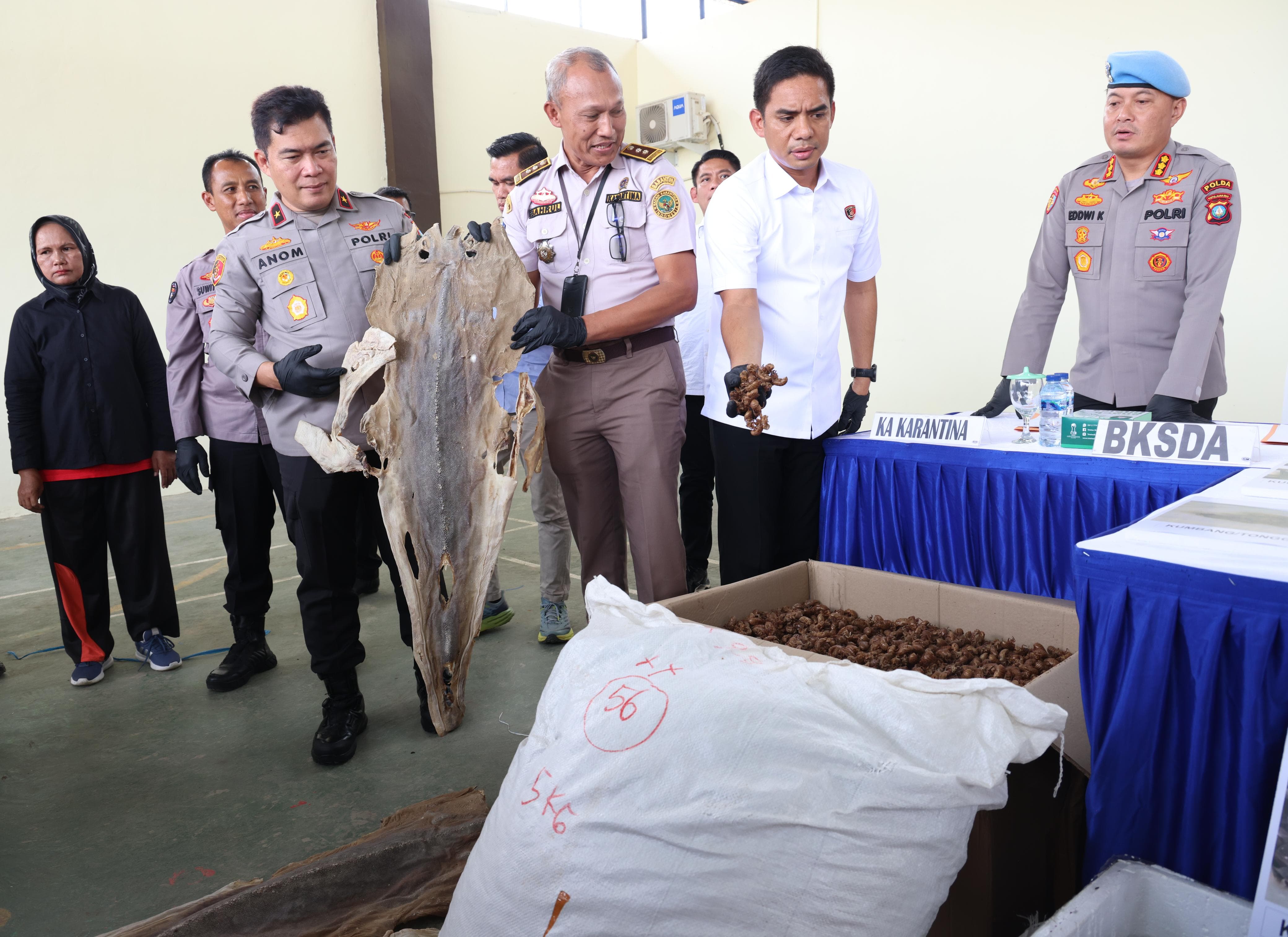 POLDA KEPRI BERHASIL GAGALKAN PENYELUNDUPAN HASIL LAUT, SATWA DILINDUNGI, DAN PENYALAHGUNAAN MIGAS