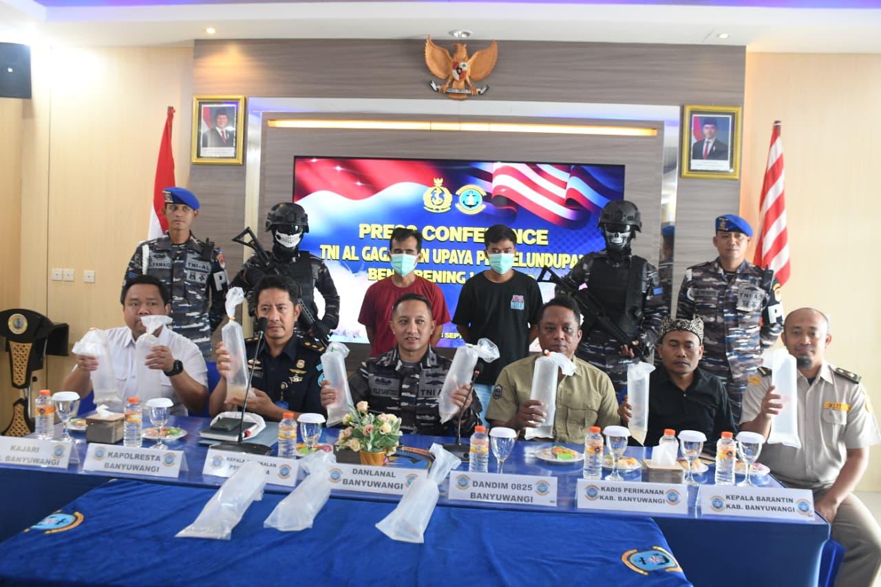 TNI AL BERHASIL GAGALKAN PENYELUNDUPAN 85.000 EKOR BENIH BENING LOBSTER DI WILAYAH BANYUWANGI