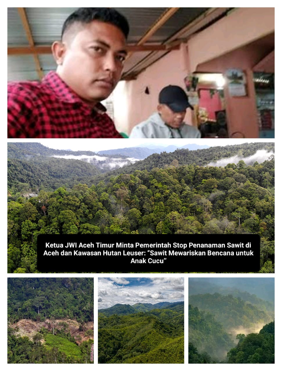 Ketua JWI Aceh Timur Minta Pemerintah Stop Penanaman Sawit di Aceh dan Kawasan Hutan Leuser: “Sawit Mewariskan Bencana untuk Anak Cucu”