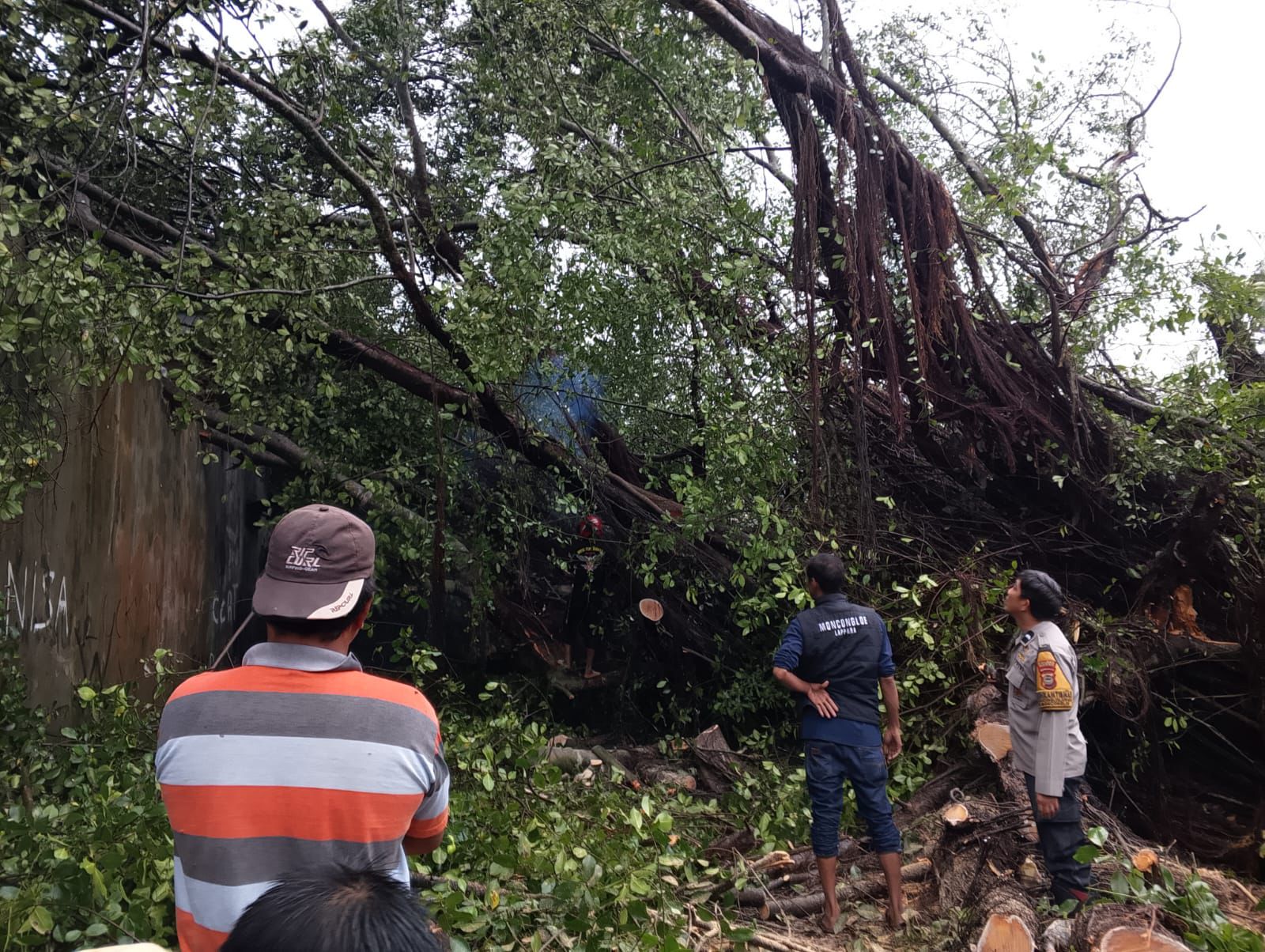 Polres Maros Imbau Warga Waspada Angin Kencang, Pohon Tumbang, dan Banjir Saat Beraktivitas