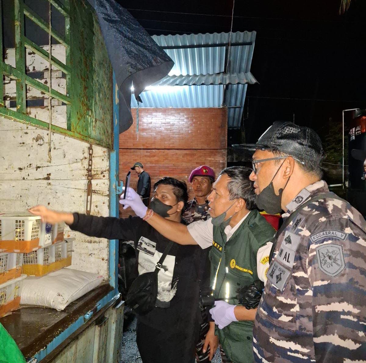 TNI AL Gagalkan Penyelundupan Ribuan Burung Ilegal dari Lombok Ke Denpasar