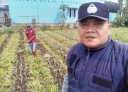 Polri Penggerak Ketahanan Pangan Monitoring Pekarangan Bergizi di Pagaralam Utara