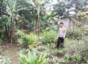 Bhabinkamtibmas Bangun Rejo Penggerak Ketahanan Pangan Monitoring Pekarangan Bergizi