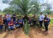 Holding Perkebunan Nusantara melalui PTPN IV Regional V Mutasikan TBM-3 ke TM-1 Seluas 1.119 Hektare pada Awal 2026