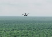 Teknologi Drone Thermal untuk Mencegah Kebakaran di Perkebunan Luas
