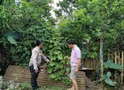Polri Dorong Ketahanan Pangan, Pekarangan Warga Dempo Utara Disulap Jadi Kebun Produktif