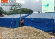 Tiga Bulan Pascabanjir, Warga Pante Labu Masih Bergelut di Bawah Tenda Darurat,Kebutuhan Pangan Kritis