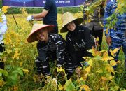 Pemprov Kalimantan Selatan Apresiasi Panen Kedelai Lanal Banjarmasin