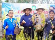 Walikota Prabumulih Turun Langsung Panen Padi Gogo 