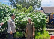 Bhabinkamtibmas Polres Pagaralam Monitoring Pekarangan Bergizi, Dukung Program Ketahanan Pangan