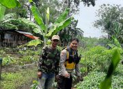 Pekarangan Bergizi Jadi Andalan, Polsek Pagaralam Selatan Aktif Dukung Ketahanan Pangan