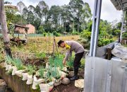 Polri Penggerak Ketahanan Pangan Monitoring Pekarangan Bergizi di Pagar Alam Utara