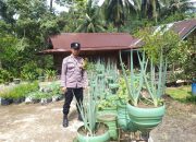 Bhabinkamtibmas Polsek Dempo Selatan Intensifkan Program Ketahanan Pangan Melalui Pemanfaatan Lahan Produktif