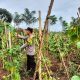 Aipda Erwin Pantau Pekarangan Bergizi Warga Selibar, Terong dan Daun Bawang Dukung Ketahanan Pangan